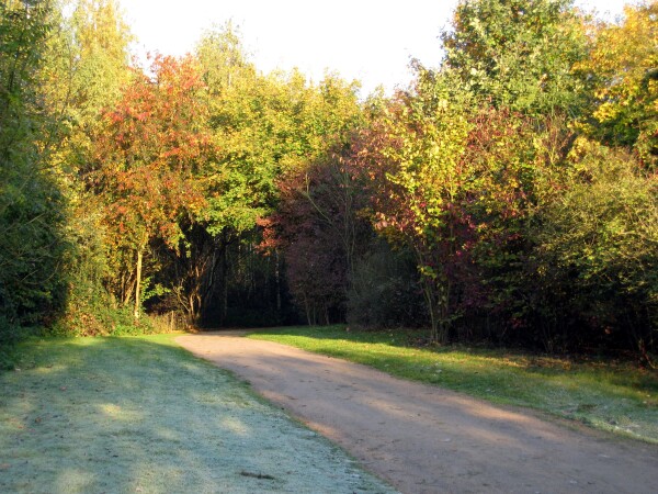 Herbstfarben und Raureif entlang der Nordic Walking Strecke.